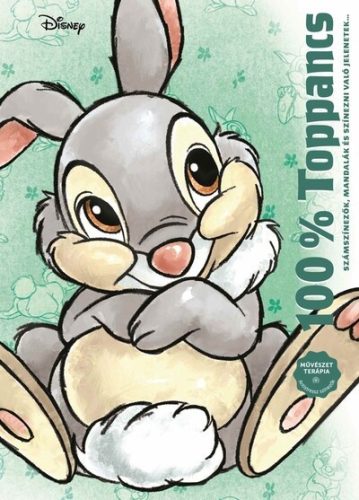Disney - 100% Toppancs (kötött áras) 