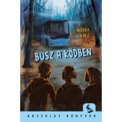 Busz a ködben -Wéber Anikó