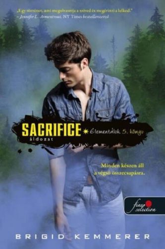 Sacrifice - Áldozat - Elementálok 5. - Brigid Kemmerer