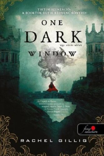 One Dark Window - Egy sötét ablak -  Rachel Gillig