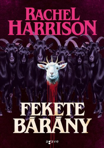 Fekete bárány - Rachel Harrison (kötött áras) 