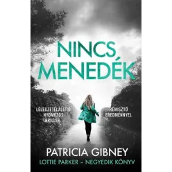 Patricia Gibney - Nincs menedék - Lottie Parker 4.