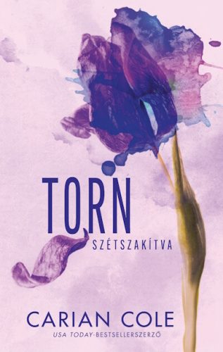 Torn - Szétszakítva (élfestett) - Carian Cole (kötött áras) 