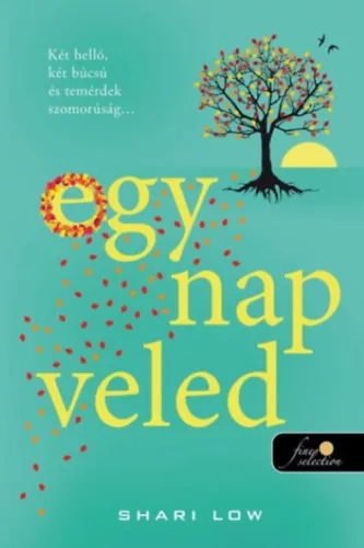 Egy nap veled - Shari Low (kötött áras)