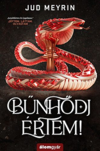 Bűnhődj értem! - Jud Meyrin (kötött áras) 