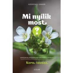 Mi nyílik most? - Kora tavasz - Dr. Szerényi Gábor (kötött áras)   Mi nyílik most? - Kora tavasz - Dr. Szerényi Gábor (kötött áras)